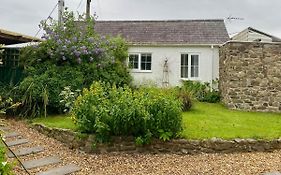 Daffodil House Annex, Cynghordy, West Wales